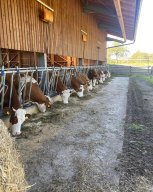 k-gesundheitswoche1al 16